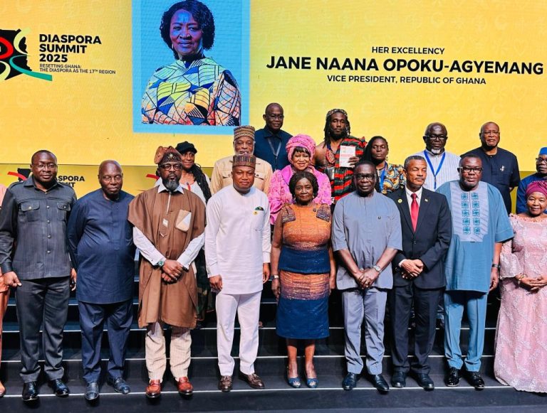 Ghana to Launch E-Visa System in 2026 to Boost Diaspora Investment