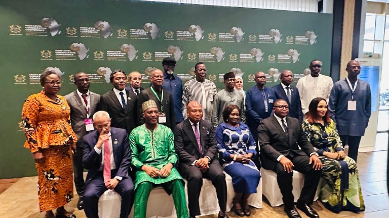 Vice President Calls for Unified West African Defence
