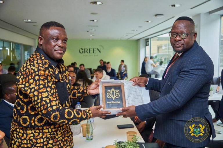 Ghana Pushes Continental Digital Integration with Malawi Collaboration