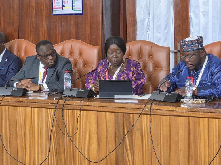Ghana, Burkina Faso Renew Trade Talks as Tomato Export Ban Strains Supply Chain