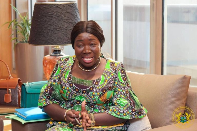 Trade Minister Calls Ghana-UAE CEPA Negotiations a Strategic Milestone for Bilateral Trade