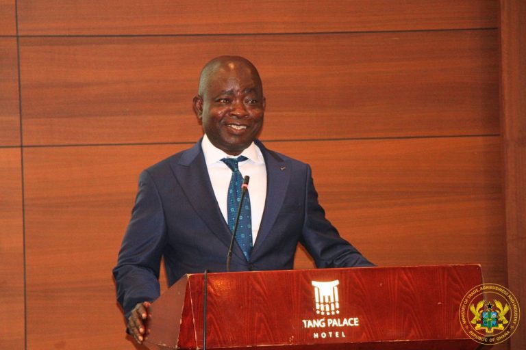 Trade Mission Success Depends on Investment Agreements and Export Deals — Deputy Trade Minister