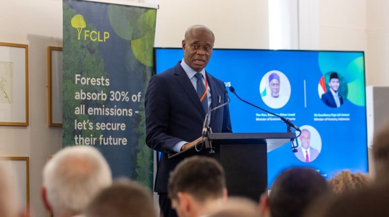 Ghana Calls for Global Framework to Unlock Forest Carbon Investment