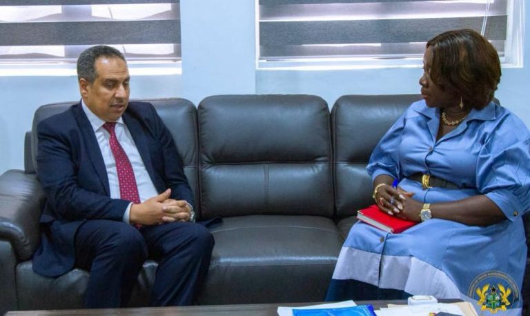 Ghana, Egypt Explore Deeper Cooperation in Agriculture and Industry