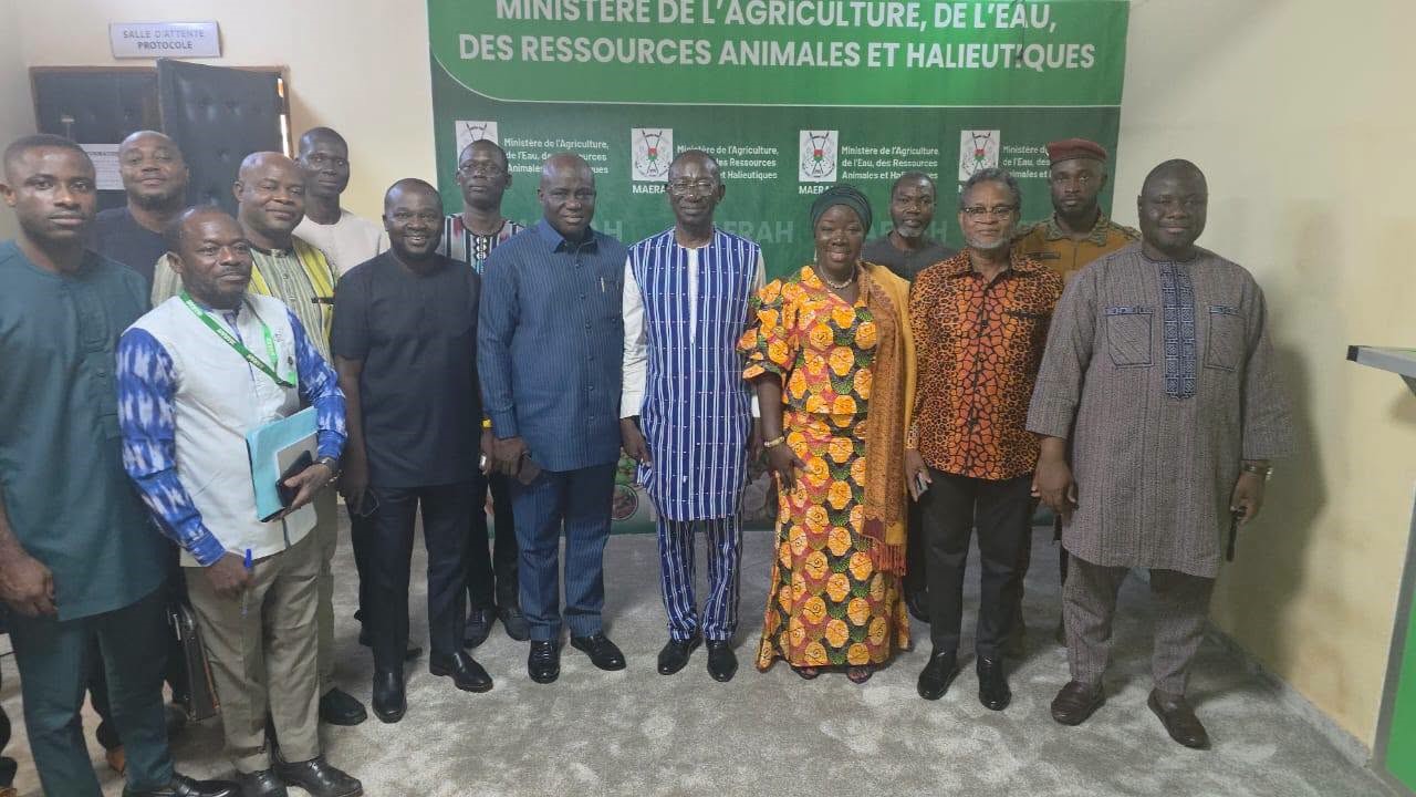 Ghana to Resume Export of Eggs to Burkina Faso after Government Intervention