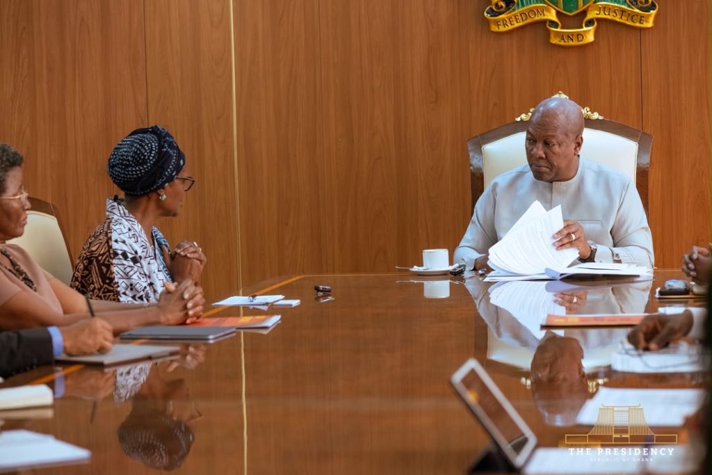 President Mahama discusses health cooperation with UN, ALMA officials