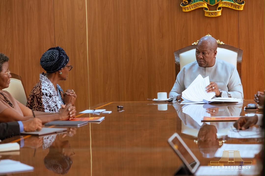 President Mahama discusses health cooperation with UN, ALMA officials