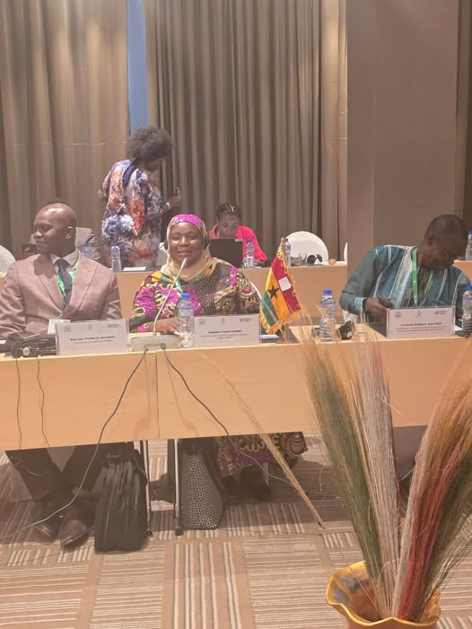 Ghana Advances Sustainable Solutions for Refugees — Dr Swallah