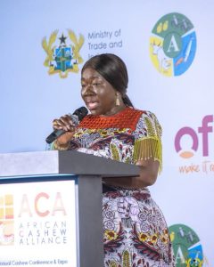 Ghana Commits US$200m To Boost Tree Crop Production