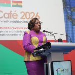 Nana Oye Calls for Responsible Use of AI In Public Service
