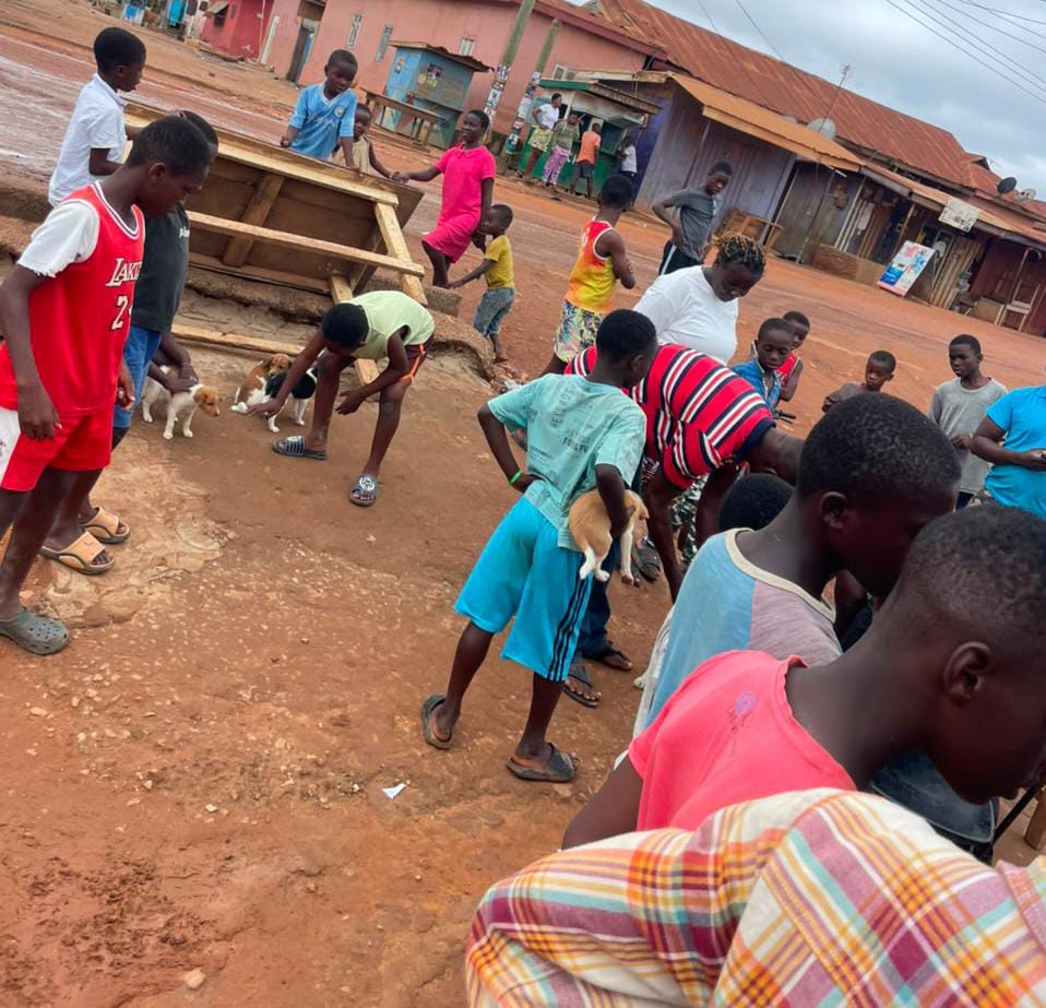 Atwima Nwabiagya North Marks World Rabies Day with Free Anti-Rabies Vaccination