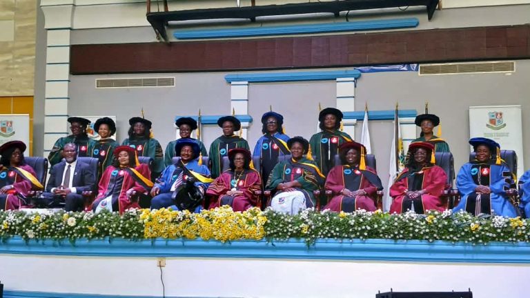 Ghana Must Match Health Investments with Specialist Nursing Workforce — Health Minister