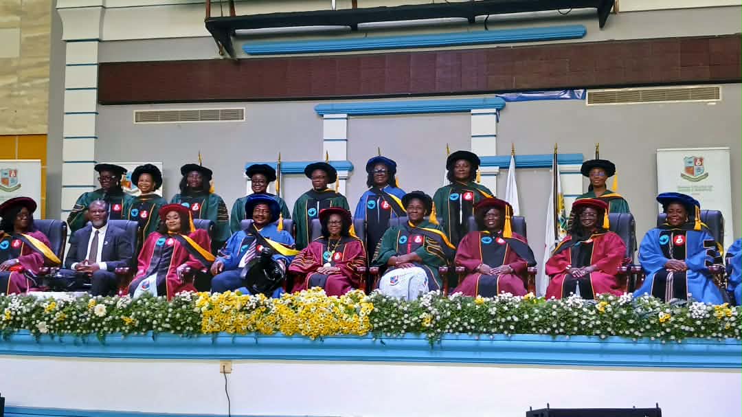 Ghana Must Match Health Investments with Specialist Nursing Workforce — Health Minister